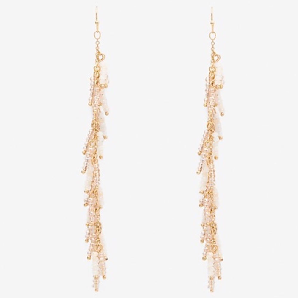 Express Earrings